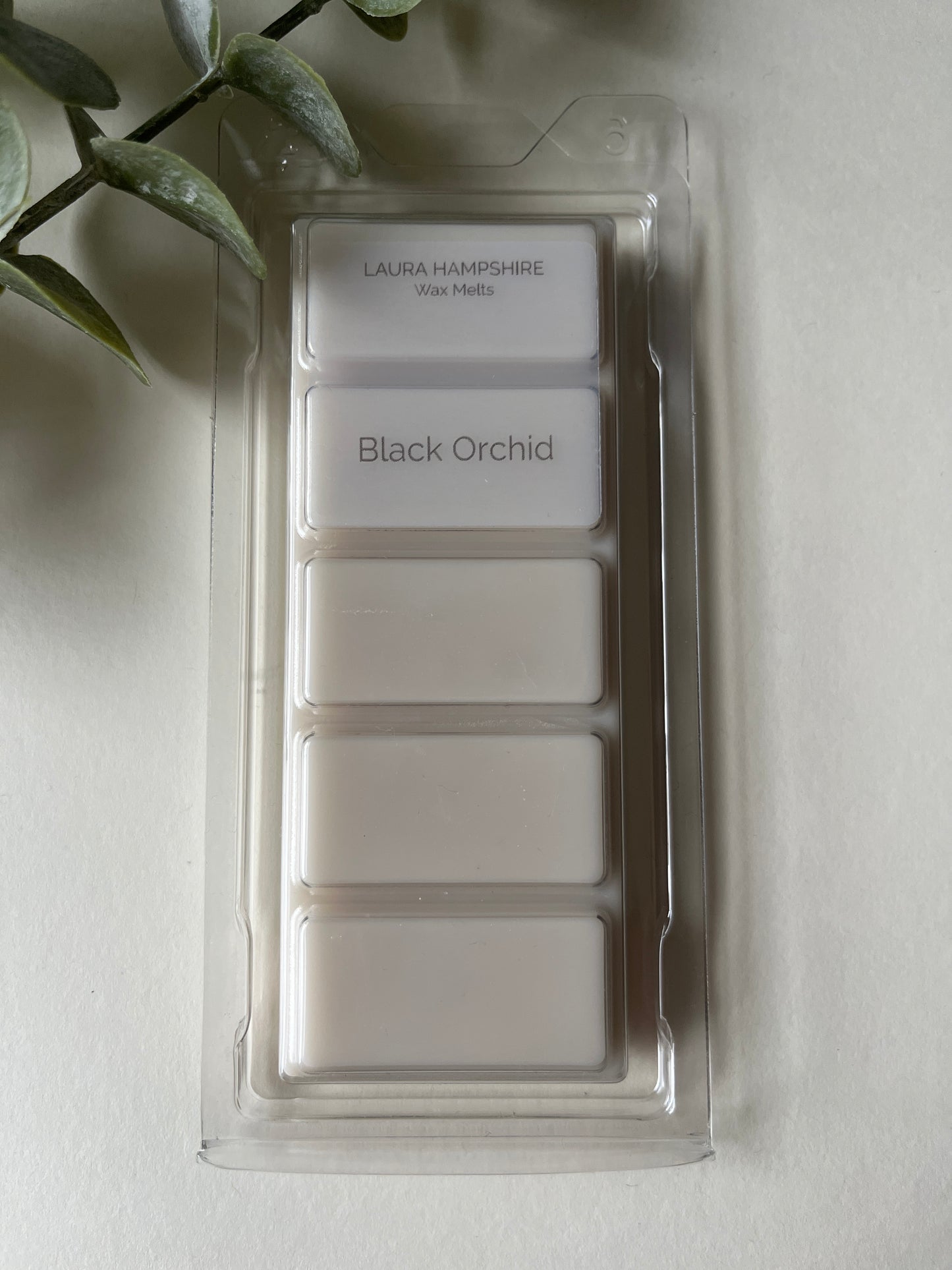 Black Orchid