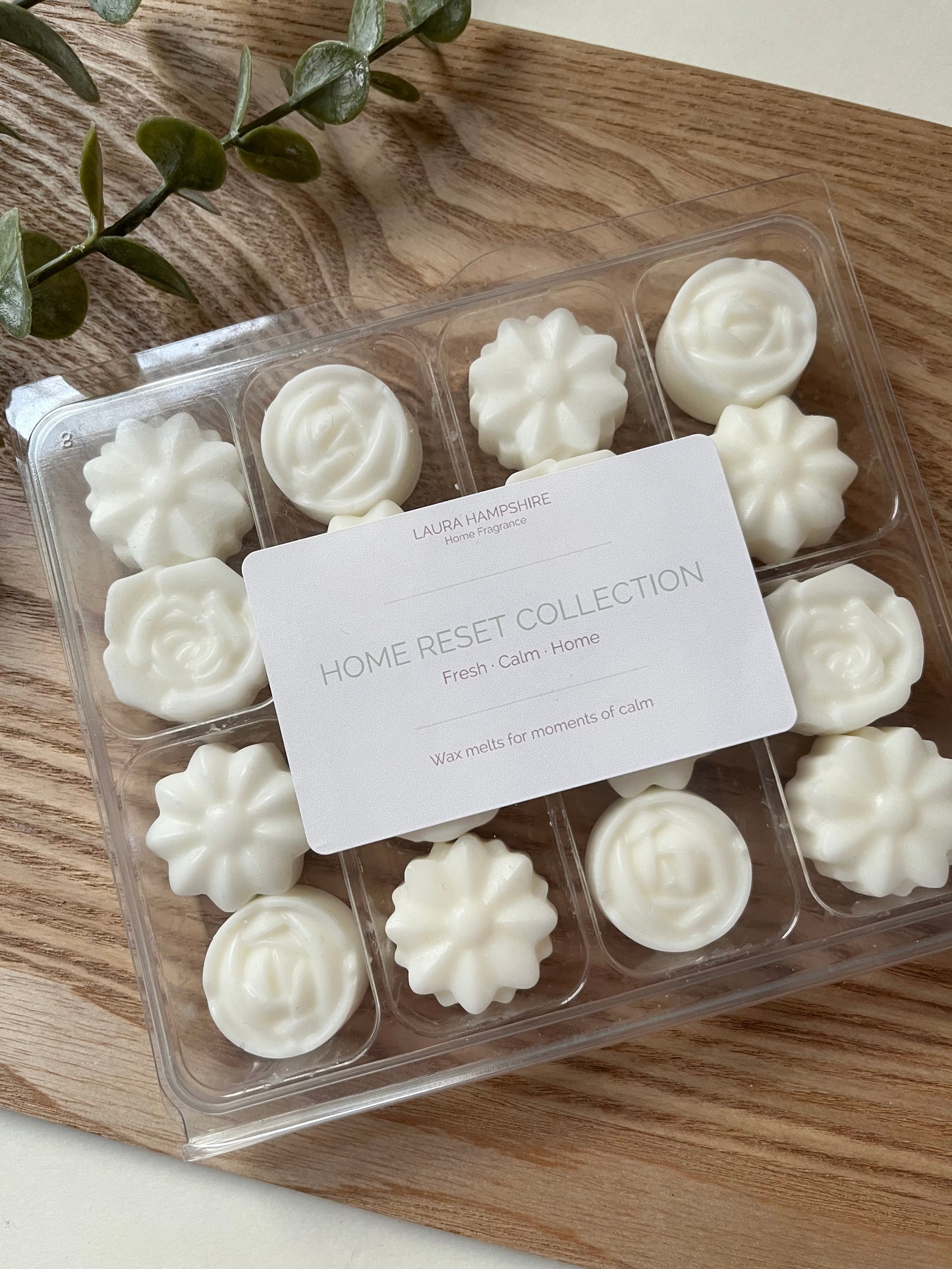 Home Reset Collection - Discovery Set